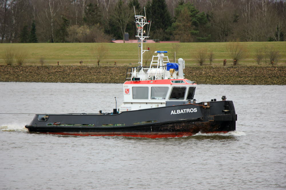 Albatros - 211658290