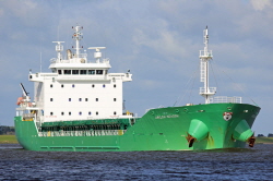 Arklow Meadow - IMO 9440277