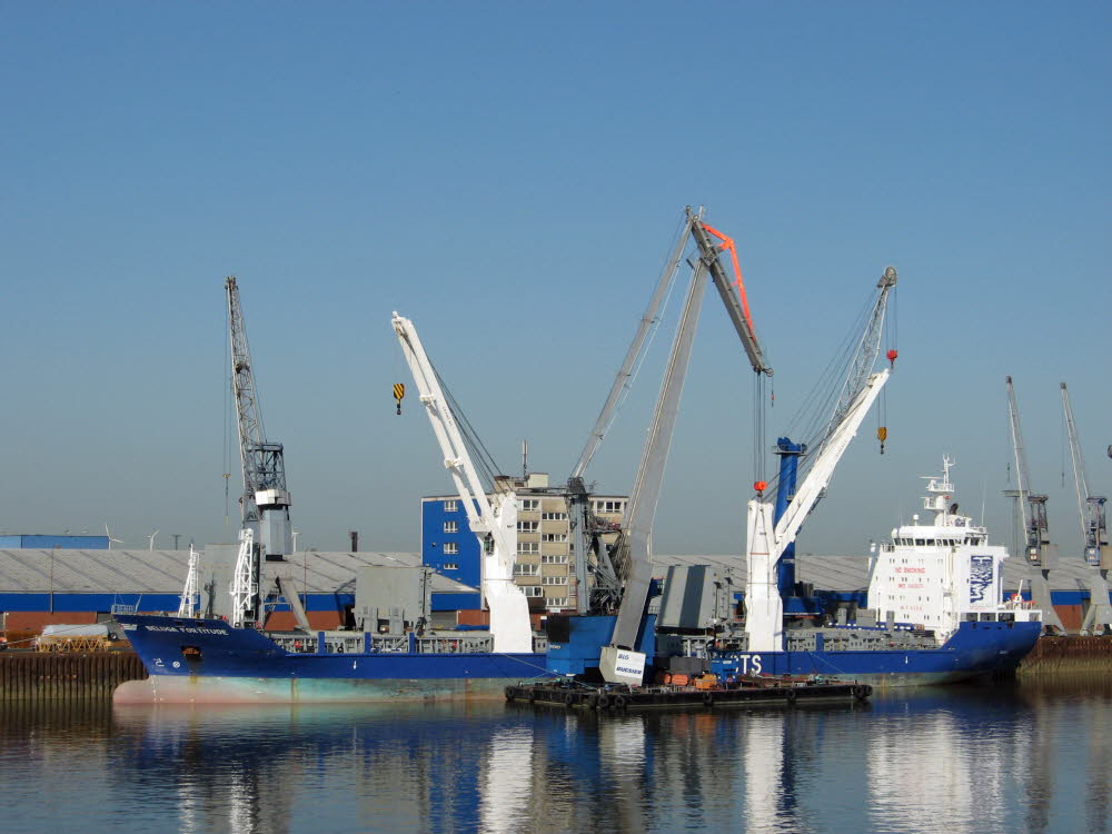 Beluga Fortitude - IMO 9402079