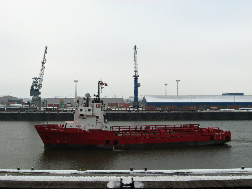 Boa Fortune - IMO 9019286