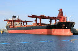 Bontrup Pearl - IMO 8309397