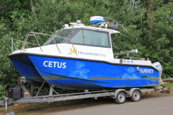 Cetus - 244780280