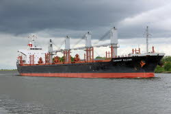 Danship Bulker - IMO 9515682