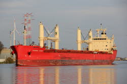 Federal Cedar - IMO 9671101