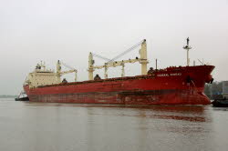 Federal Rideau - IMO 9200445