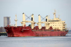 Federal Spruce - IMO 9610468