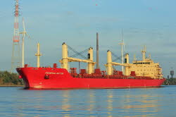 Federal Sutton - IMO 9595917