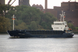 Frifjord - IMO 8516263