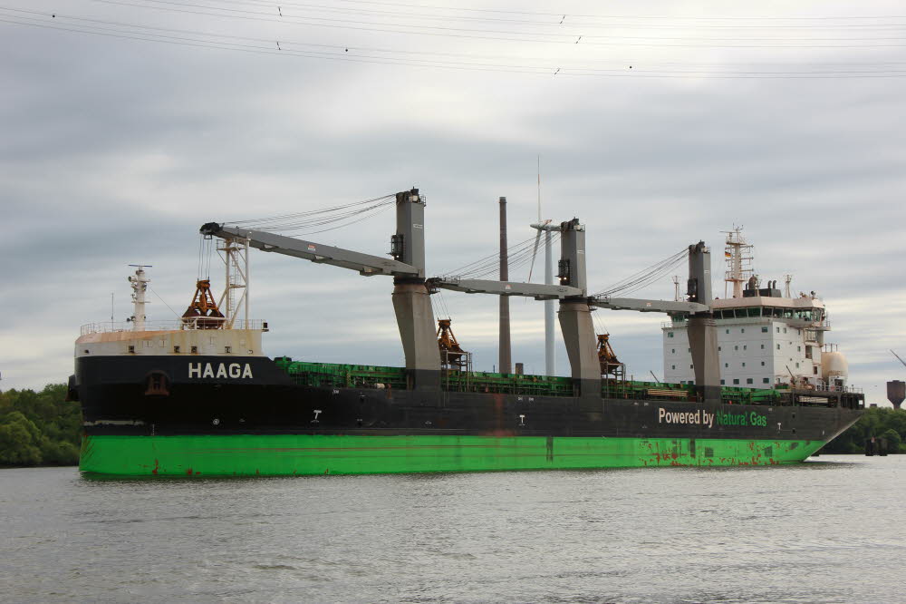 Haaga - IMO 9797632