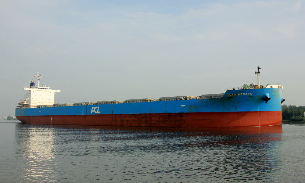 Ikan Kerapu - IMO 9697959