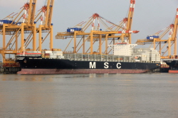 MSC Adelaide - IMO 9618290