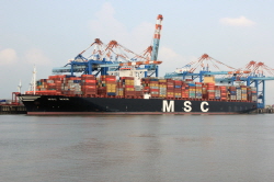 MSC Maya - IMO 9708679