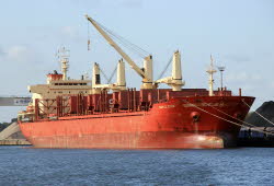 Maple Star - IMO 9662370