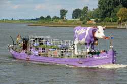 Muhboot - 211646290