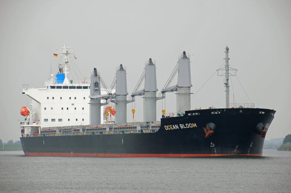 Ocean Bloom - IMO 9633197