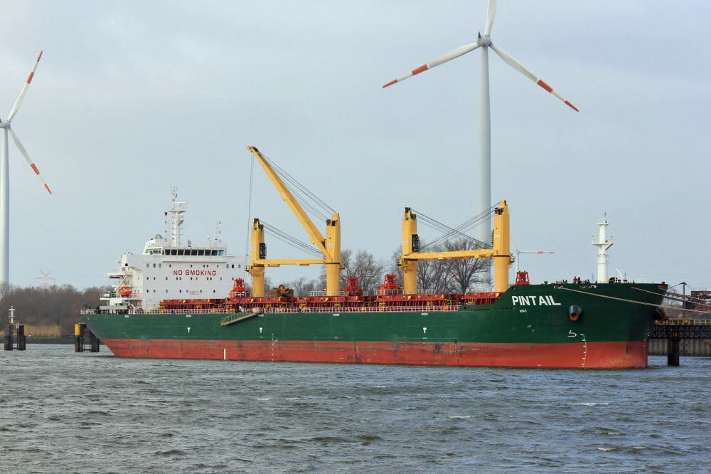 Pintail - IMO 9578050