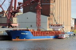 Pregol Hav - IMO 8519239