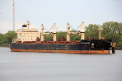 Puffin Bulker - IMO 9441403