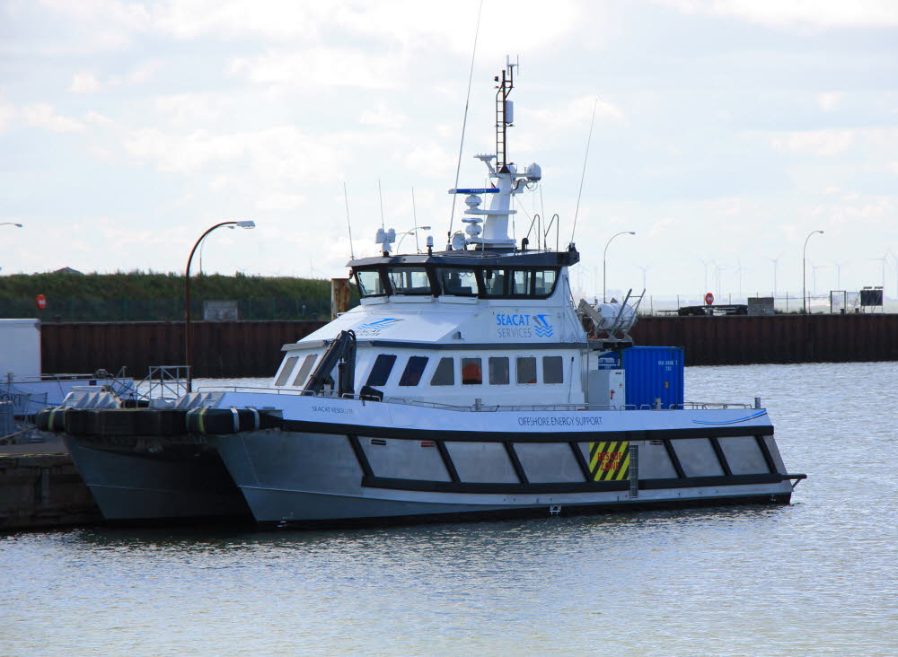 Seacat Resolute - 235094873