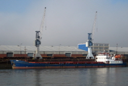 Shizhnya - IMO 8871572