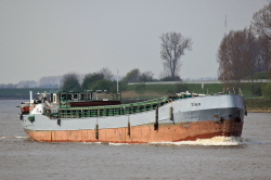 Tina - IMO 5120908