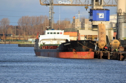 Torrent - IMO 9015929