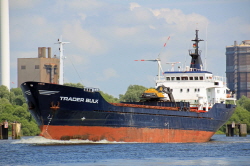 Trader Bulk - IMO 7233060