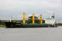 Zealand Zaria - IMO 9486269